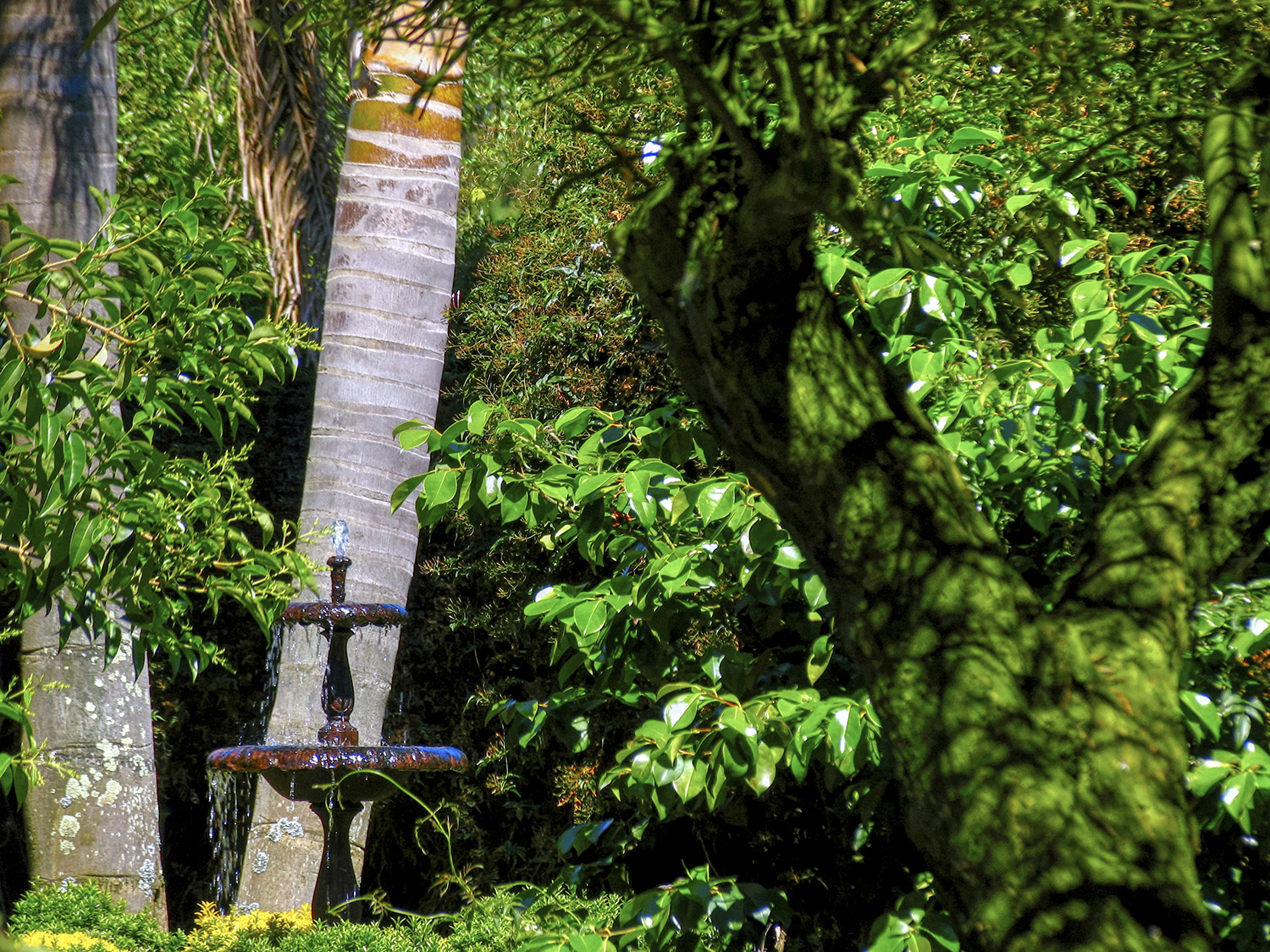 Vilanova Peña es una empresa con más de treinta años en el sector, dedicada a crear hogar y calidad de vida de visita obligada en Galicia.Vilanova Peña es el lugar para descubrir las tendencias en decoración, elementos y diseños étnicos, nuevos conceptos para la mesa de hogar y trabajo, textiles de todo el mundo, artesanía y piezas únicas, mobiliario, jardín regalos, disposición de interiores ......., en definitiva, un espacio para asistir en directo a las propuestas  de los creadores más inquietos del panorama nacional e internacional.