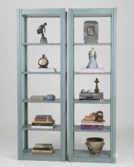 Libreria BluLeker